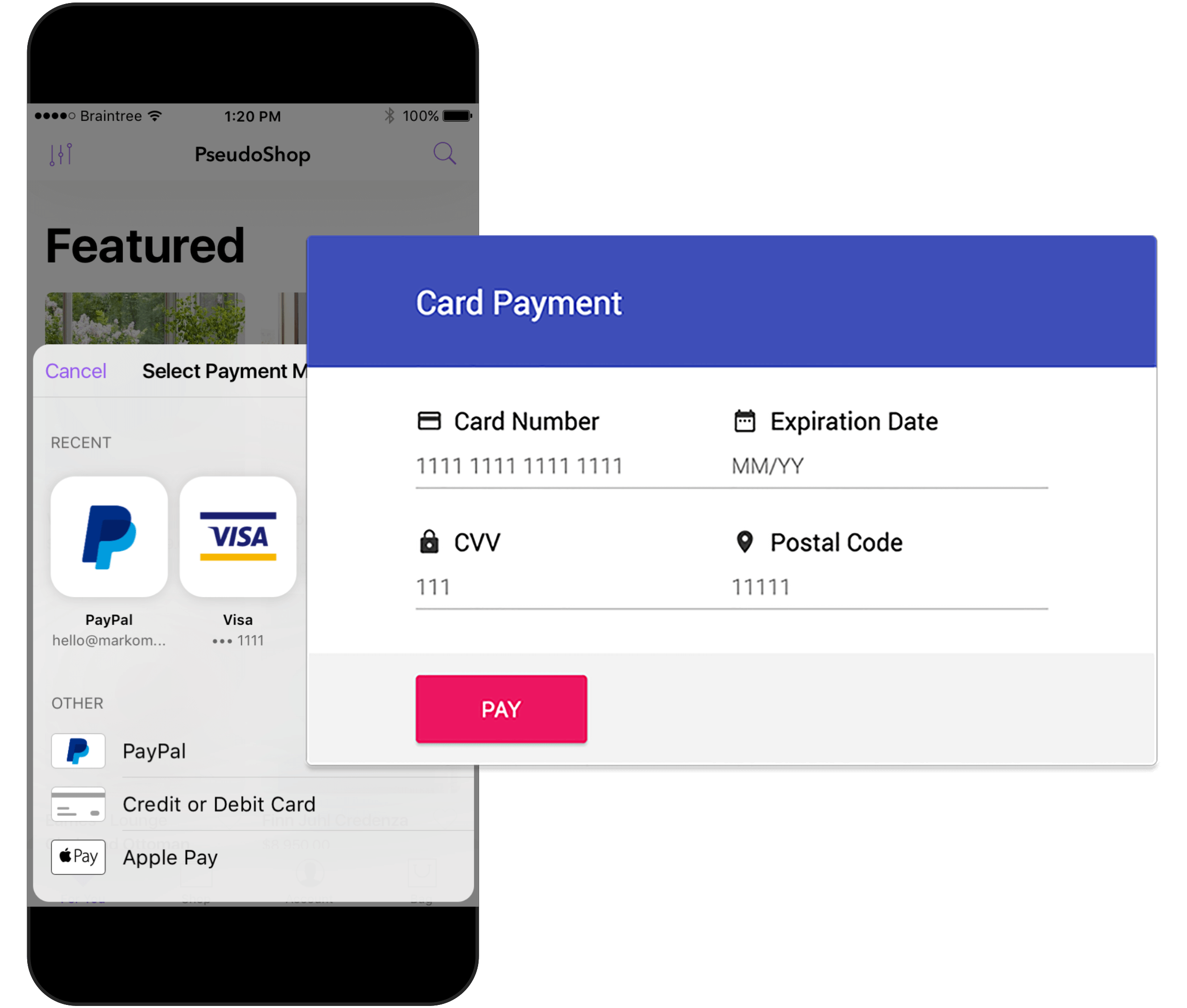 Core Features | Braintree Payments